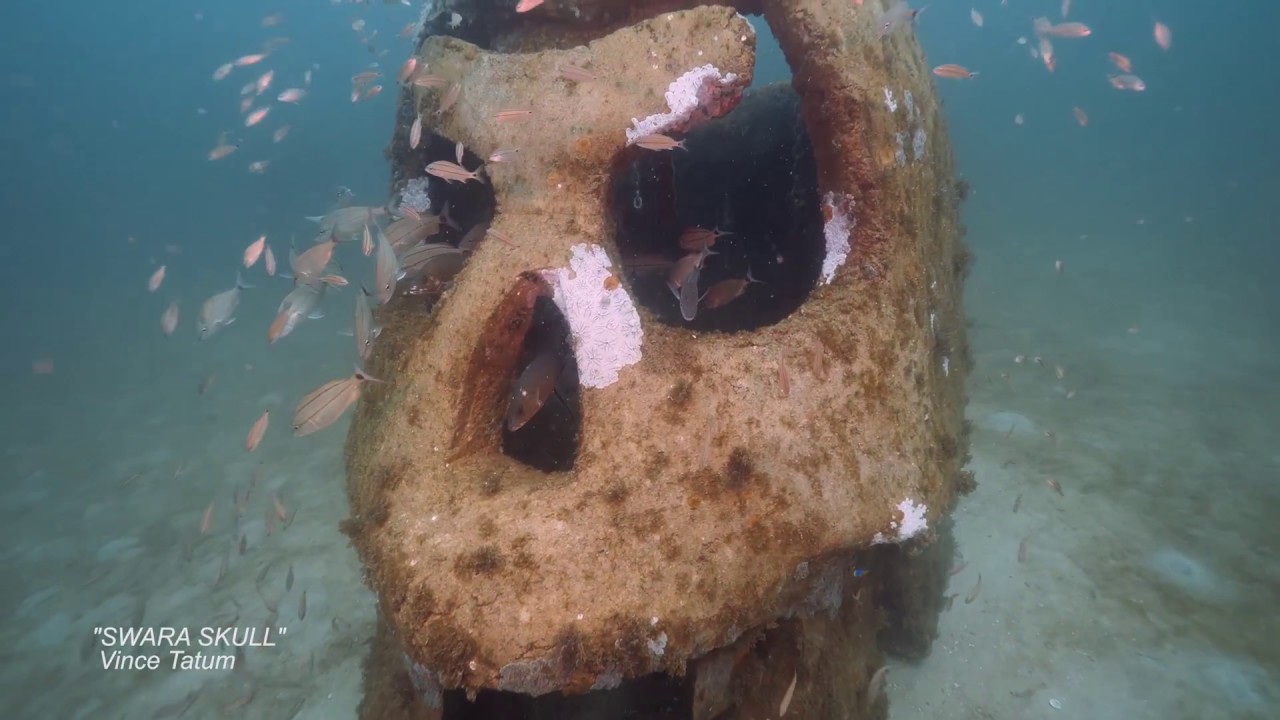 Underwater Museum of Art with Shane Reynolds - Get The Coast