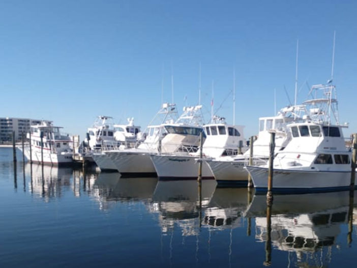 Saturday is a license-free saltwater fishing day across ...