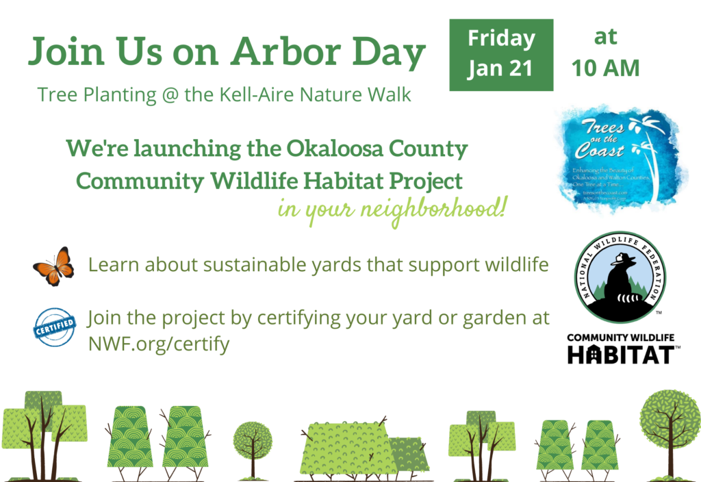 Florida Arbor Day Tree Planting Get The Coast