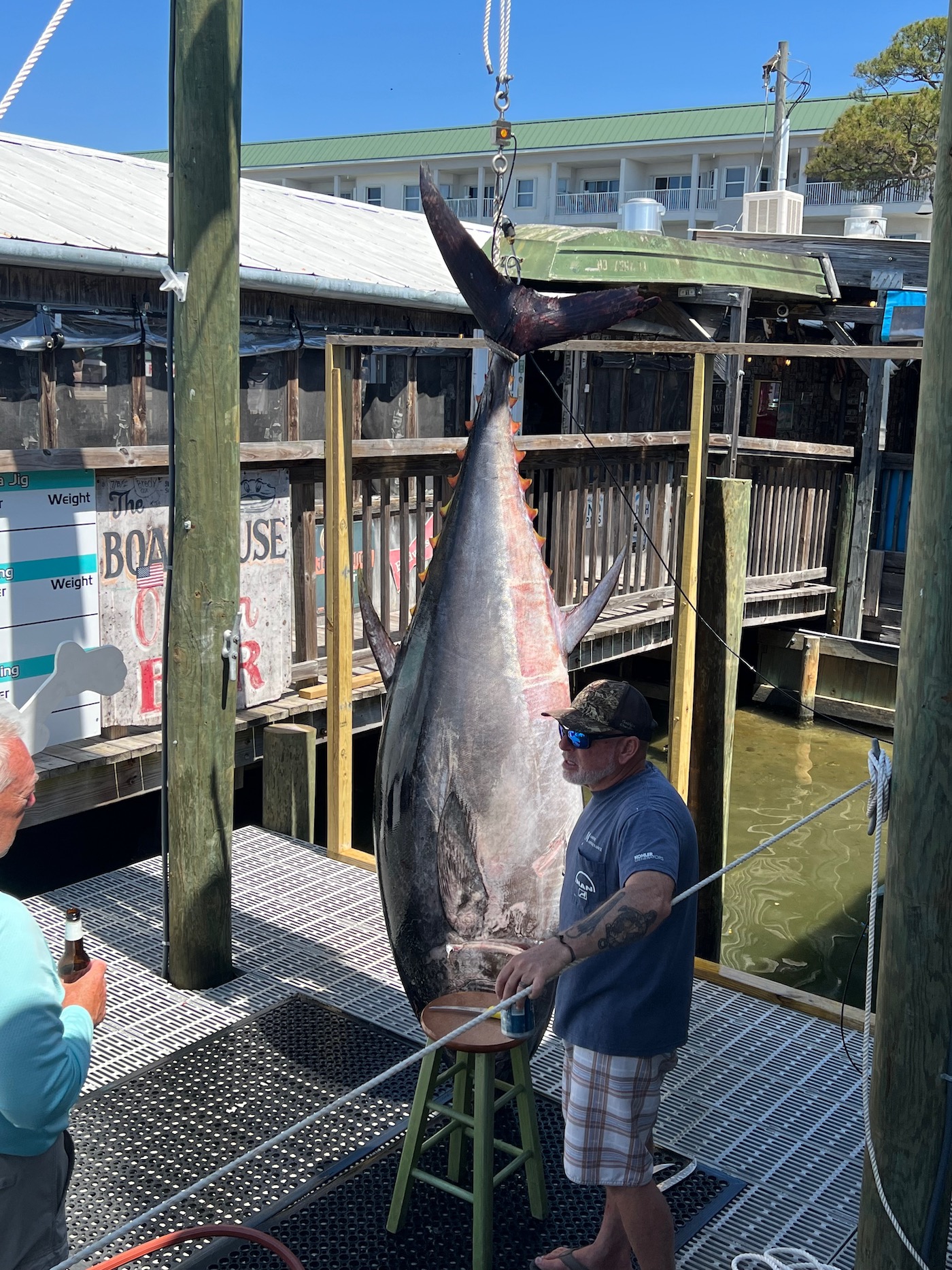 Local fisherman reels in 672-pound Bluefin Tuna near Destin-Fort