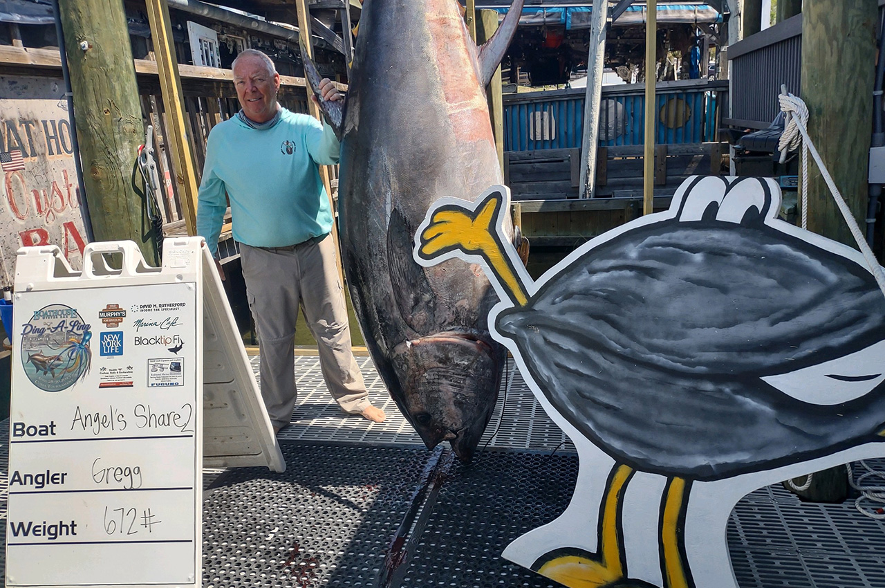 Local fisherman reels in 672-pound Bluefin Tuna near Destin-Fort