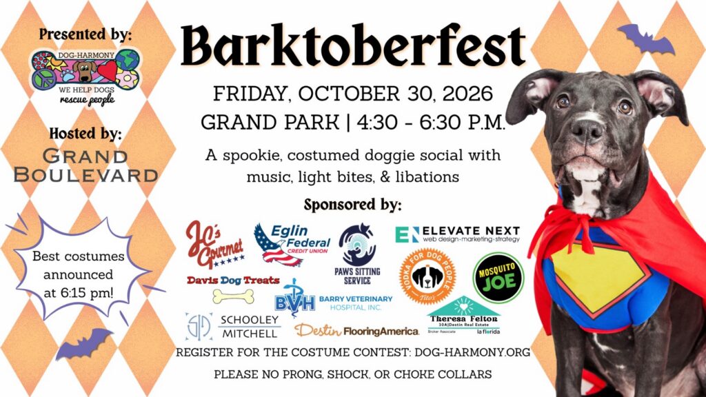 11th Annual Barktoberfesterfest