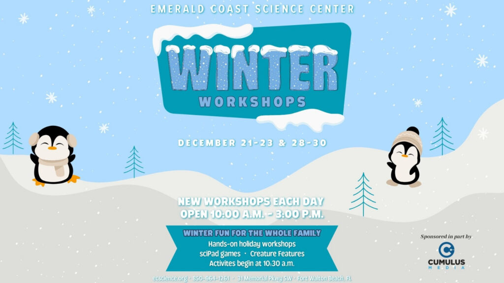 Winter Workshops